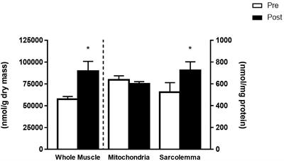 Incorporation of Omega-3 Fatty Acids Into Human Skeletal Muscle Sarcolemmal and Mitochondrial Membranes Following 12 Weeks of Fish Oil Supplementation